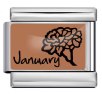 Month with Birth Flower