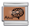 Month with Birth Flower