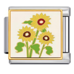 Flower Bouquets